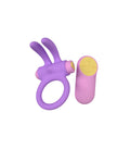 ANILLO VIBRADOR RINY CON CONTROLADOR USB DE SILICONA LILA