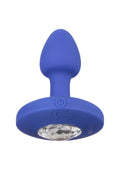 Sonda vibratoria pequeña azul