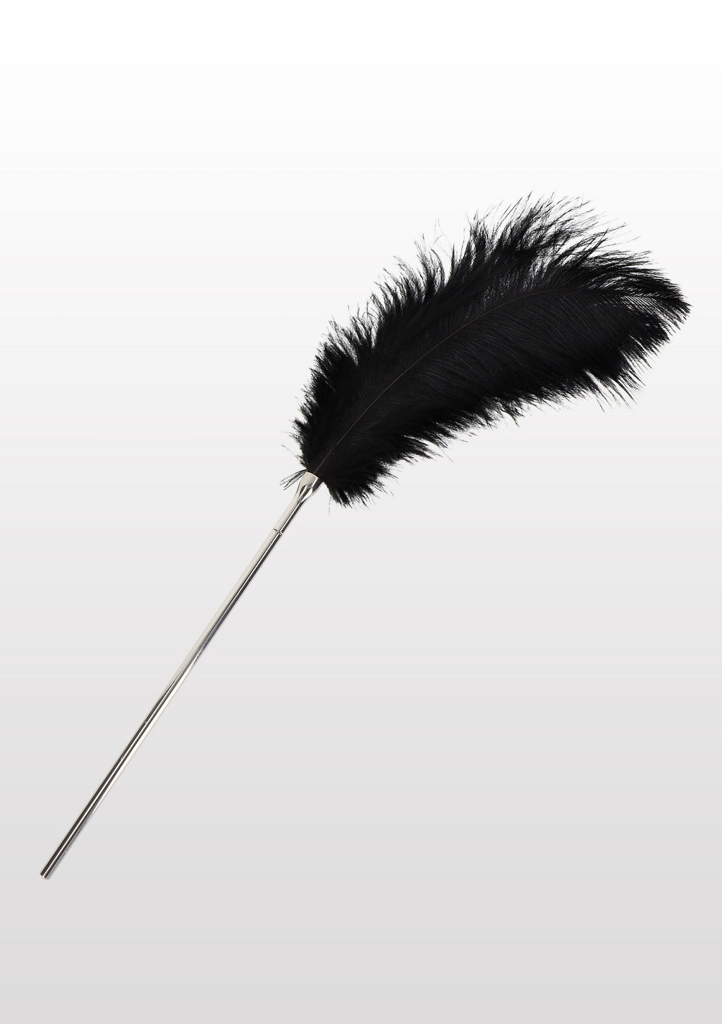 Plumero negro