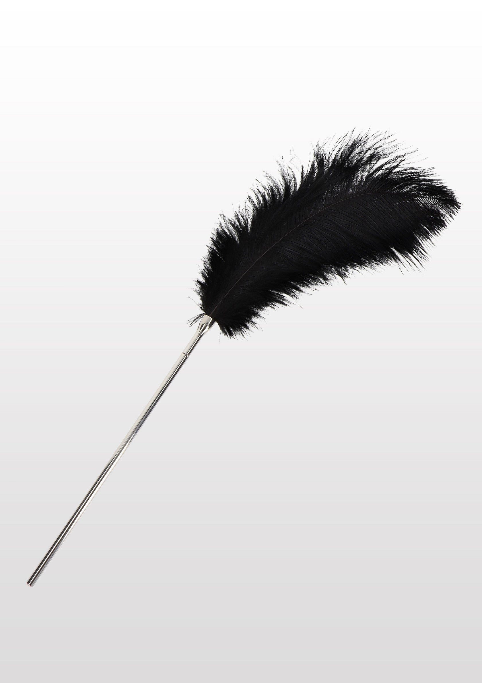 Plumero negro