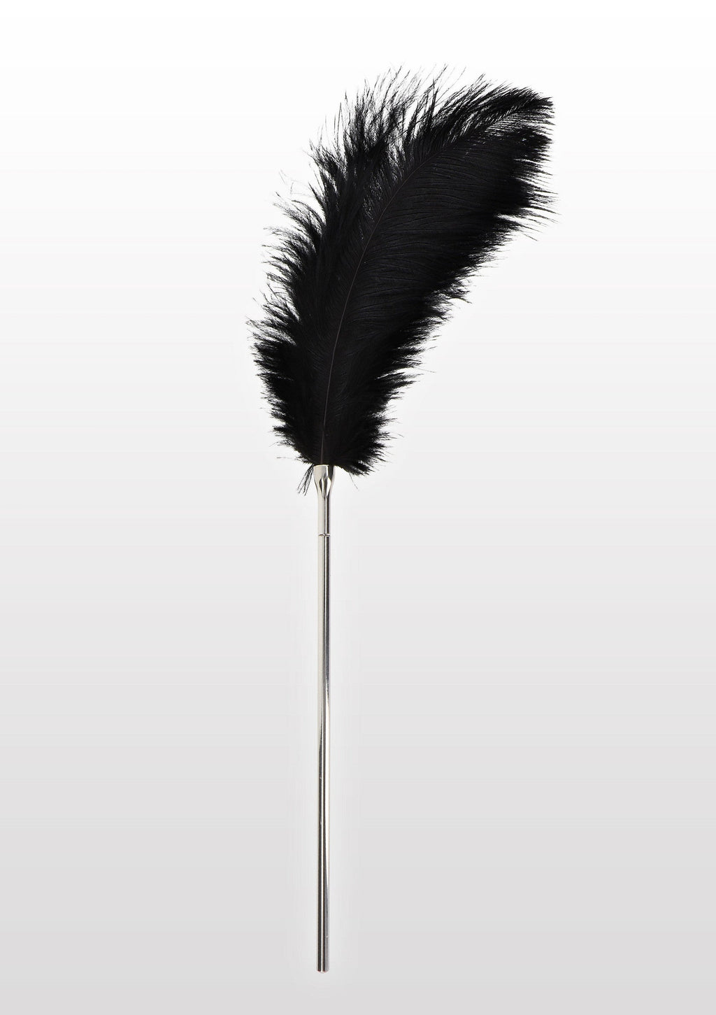 Plumero negro