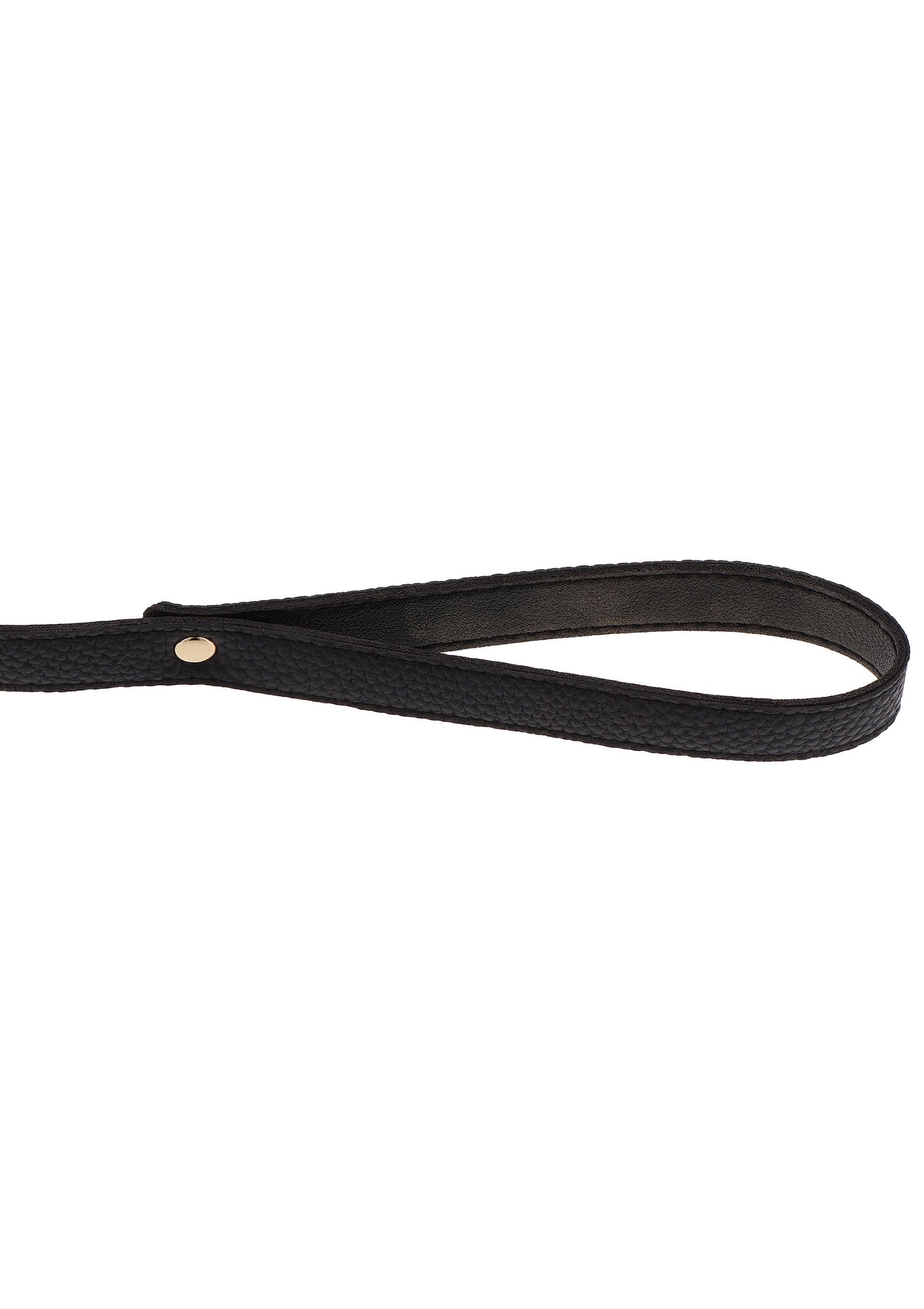 Collar y correa Statement dorados